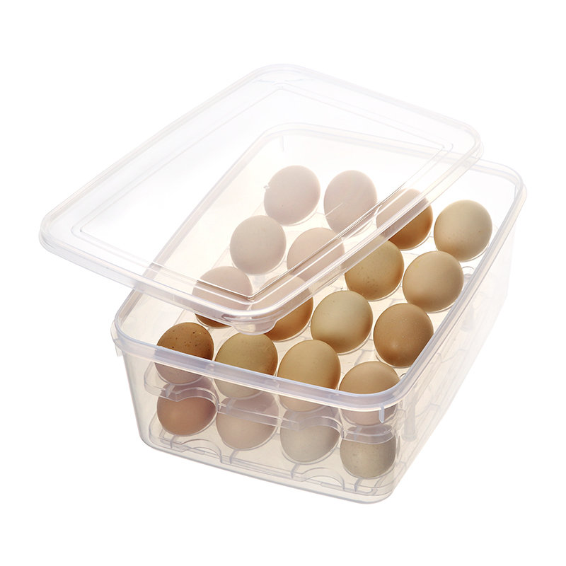 Caja de almacenamiento de 32 huevos de trucha (doble capa)